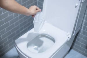 flushing wet wipes